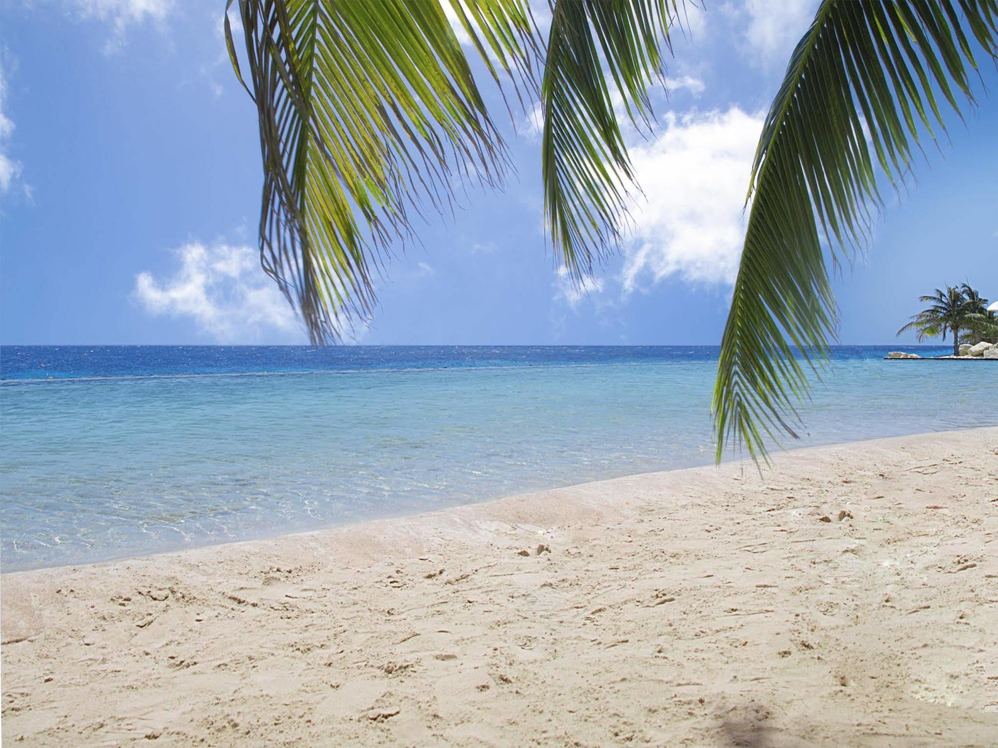 Papagayo Beach Resort (Adults Only) Willemstad Zewnętrze zdjęcie